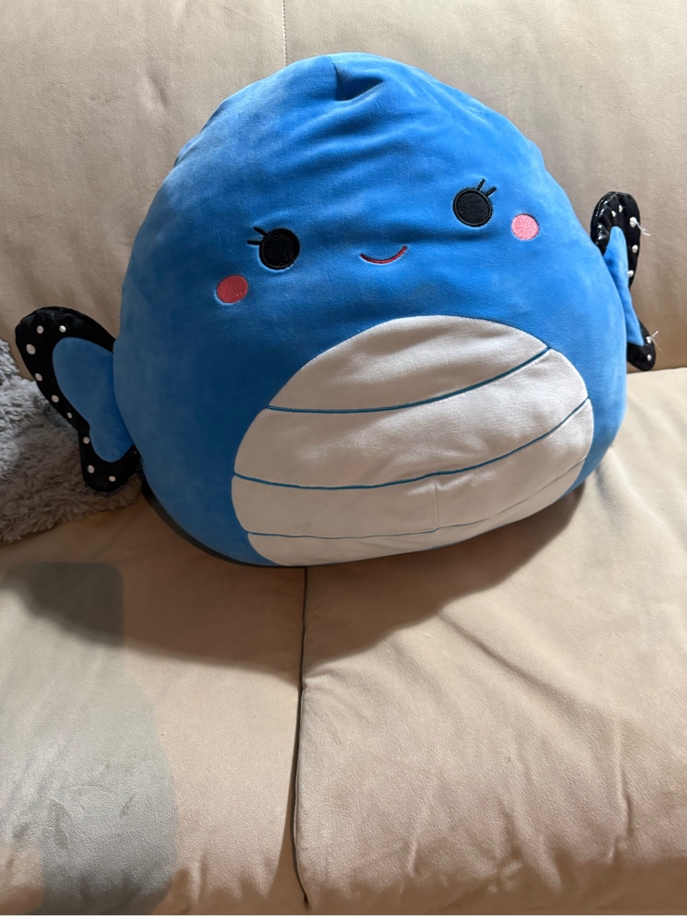 Squishmallow Kellytoy Willa Blue Morph Butterfly Canadian Exclusive, 16”